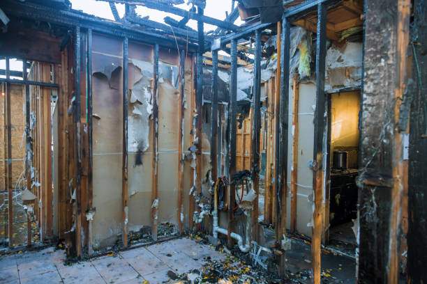 Professional Fire Damage Removal technician working in Duvall, WA
